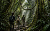 Kayaking and Nature Trekking