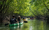 Kayaking and Nature Trekking