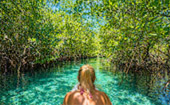 Kayaking and Nature Trekking
