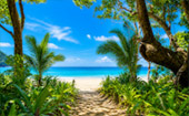 Kayaking and Nature Trekking
