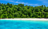 Private Island: Wa Ale Island