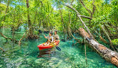 Authentic Island Experiences