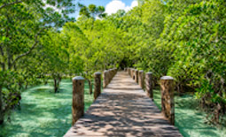 Wa Ale Resort – The Island’s Only Exclusive Retreat