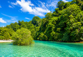 Relaxation Swimming and Shore Snorkeling Relaxation Swimming and Shore Snorkeling
