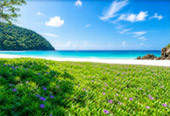 Relaxation Swimming and Shore Snorkeling Relaxation Swimming and Shore Snorkeling