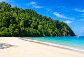 Relaxation Swimming and Shore Snorkeling Relaxation Swimming and Shore Snorkeling