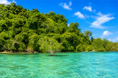 Snorkeling and Beach Activities Snorkeling and Beach Activities