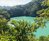 Angthong Marine Park: Day Tour by Speed Boat