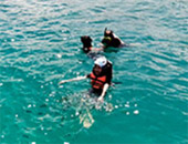 Angthong Marine Park: Day Tour by Speed Boat