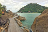 First Penguin: Koh Samui 3 Days 2 Nights