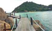 Koh Toa and Koh Nang Yuan Join Speed Boat Tour