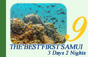 The Best First Samui 3 Days 2 Nights