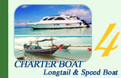 Charter Longtail Boat and Speed Boat