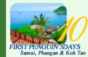 First Penguin: Koh Samui 3 Days 2 Nights