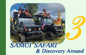 Samui Safari and Discovery Around