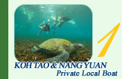 Koh Tao and Koh Nang Yuan  by private Local Boat