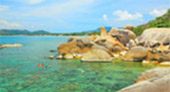 First Penguin: Koh Samui 3 Days 2 Nights