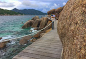 Koh Tao and Koh Nang Yuan One day by private Local Boat