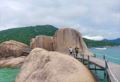 Koh Tao and Koh Nang Yuan One day by private Local Boat