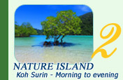 Morning to evening Nature Island - Koh Surin