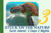 Surin Island: Stuck on the nature. 3 Days 2 Nights