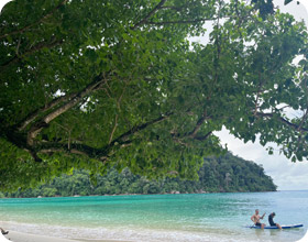 Morning to evening Nature Island - Koh Surin