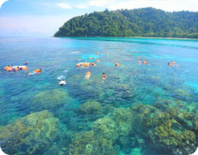 Surin Island Private Speed Boat Charter Surin Island Private Speed Boat Charter