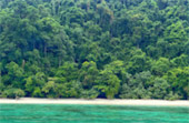 Surin Island Private Speed Boat Charter