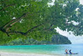 Surin Island Private Speed Boat Charter
