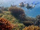 Surin Island Private Speed Boat Charter