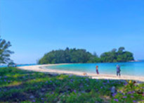 Explore Koh Kam, Japanese Island, and Bat Island in Ranong