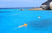 Surin Islands and Similan Islands. Package 3 Days 2 Nights