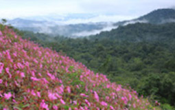 Jujutsu, Thi Lor Su Waterfall and Blue Cave - 4 Days 3 Nights