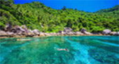 Extra Day on Koh Tao – Full-Day Private Snorkeling Tour