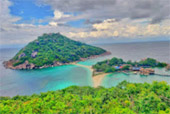 Turtle Trace – Special Day Trip on Koh Tao