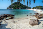 Turtle Trace – Special Day Trip on Koh Tao