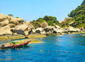 Turtle Trace – Special Day Trip on Koh Tao