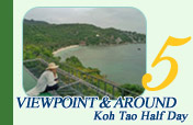 Koh Tao: Viewpoint and Around – Half-Day Land Tour