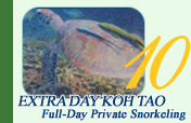 Extra Day on Koh Tao – Full-Day Private Snorkeling Tour