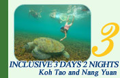 Koh Tao and Nang Yuan Inclusive 3 Days 2 Nights