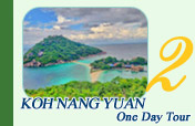 Koh Nang Yuan One Day Tour