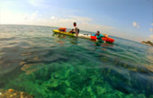 Half Day Shallow Snorkeling - Shark Island