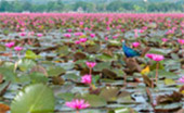 Coral and Lotus 3 Days 2 Nights Trang Pattalung