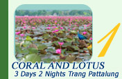 Coral and Lotus 2 Days 1 Nights Trang Pattalung