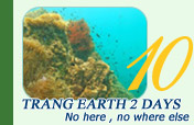 Trang Earth - No here , no where else 2 Days 1 Night